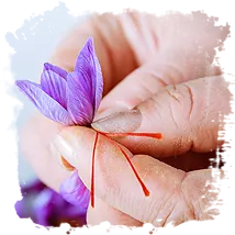 Zafferano e la Forme Tumorali