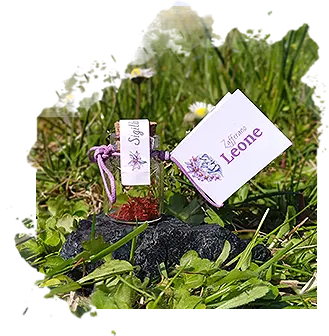 Zafferano in Boccetta da 0.1 gr