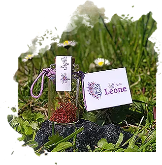 Zafferano in Boccetta da 0.2 gr