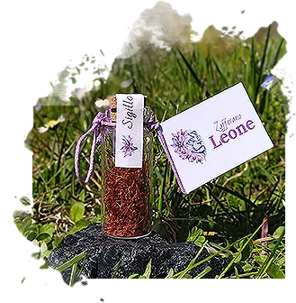 Zafferano in Boccetta da 0.5 gr